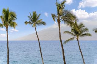 Kihei Surfside 306 · KSS 306 Updated BeachFront 1BD w Ocean View - Wailea - 9