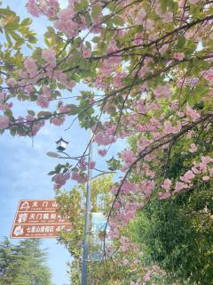 Zhangjiajie Tianchong Yunhai Hotel-The hotel is about 700 meters away from the east gate of Zhangjiajie National Forest Park local specialty breakfast AttractionTickets Serivce in advance English butler service - 6