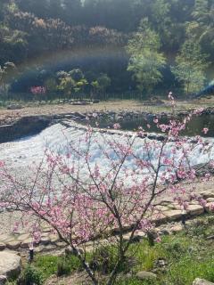 Zhangjiajie Tianchong Yunhai Resort Hotel - 1