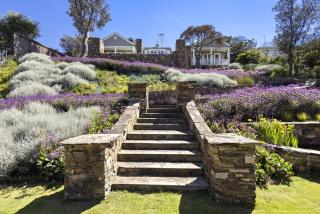 illiac in Somers - Somers - 6