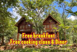 Mango Tree Villa - 9