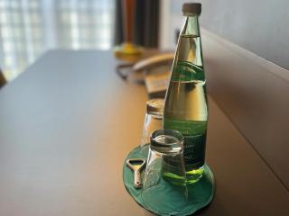 Mercure Hotel Gera City - 4