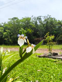 Casa de campo da Prof Fabi - 5