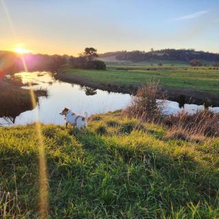 Luxury farm stay with outdoor jacuzzi - 7