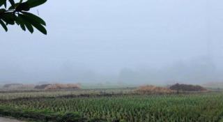 Khun Nai Tern Sai Hotel - 7