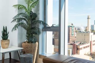 Central 3BR & Den Penthouse Boston Common MGH & TUFTS - 2