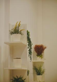 White House Group - Luxury Apartments, Matara City - 1