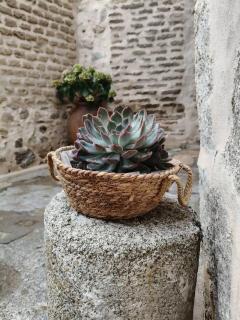 Casa Rural Abuelo Pedro - 5