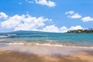 Napili Shores D229 condo - 6