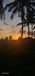 Bareng Homestay Tetebatu - 4