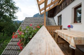 Turistična Kmetija Gartner 3a - Bohinj - 3