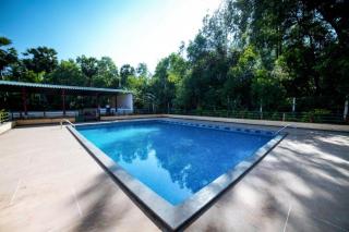 Paradise Auro Jungle Resort - 1