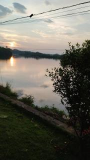 Leela - 1
