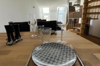 Klimatisierte Luxus-Dachterrassenwohnung im Zentrum - 7