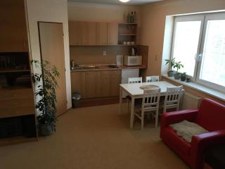 Apartmánový Dom Králiky - Králiky - 3