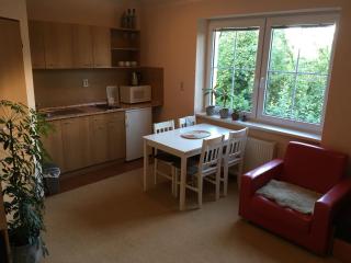Apartmánový Dom Králiky - Králiky - 4