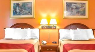 Econo Lodge Cuba I-86 - 1