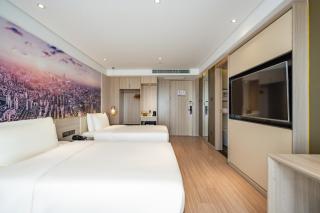 Mercure Shanghai Pudong Zhangjiang Park - 3