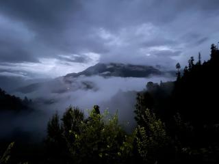 The Nature View Tree Cottage - 9