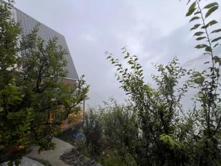 The Nature View Tree Cottage - 8