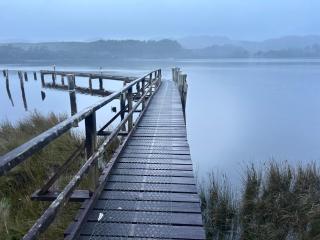 The Artists Cottage Waterfront Hideaway - Strahan - 3