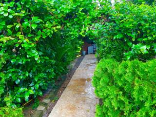 Osheen Homestay Sigiriya - 5