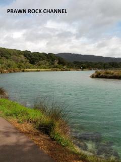 Ocean Beach Hideaway - 3