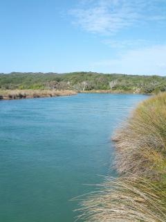Ocean Beach Hideaway - 2