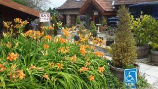 Bridge Farm Guesthouse rooms - Bristol - 0