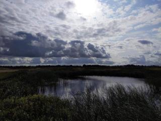 6 person holiday home in Ringkøbing - 6