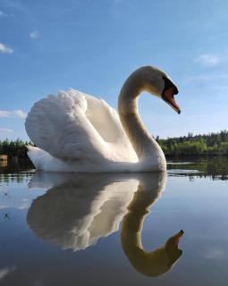 Au cœur de St Jorioz, spacieux appartement avec terrasse et vue montagne. - 2