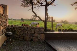 Jeju Bongsung Noeul Dam - 1