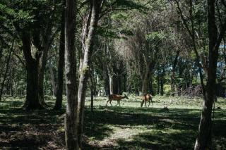 SANU 2nd Home 山中湖1st - 7