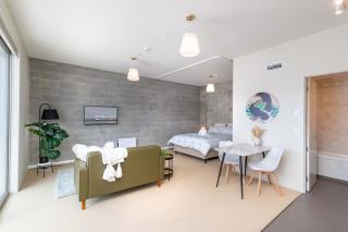 Petone City Studio with Balcony Sleeps 2 - 1