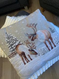 PUNAHILKKA & Susihukka Apartments with sauna - 7