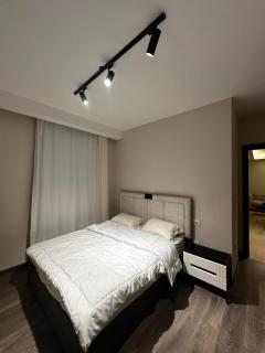 شقة فندقيه ابراج zedالشيخ زايد - 4