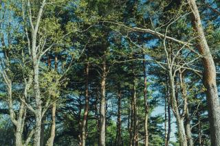 SANU 2nd Home 八ヶ岳2nd - 5