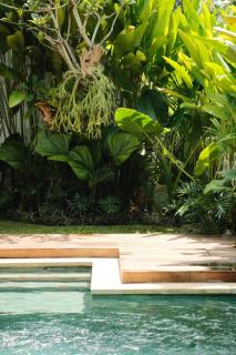 Casa Mahesa Villas Ubud - 7