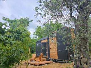 In the Wild Volcano Sea Side - 0