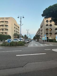 Cocon lumineux à 2 min du port et des restaurants - 9