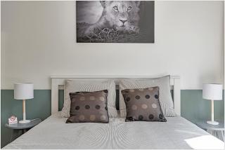 Studios hyper centre, proche cathédrale et gare - 4