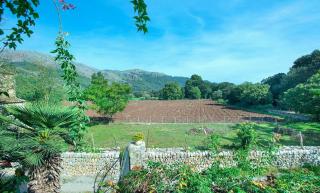 Villa Son March Petit by Sealand Villas - 7