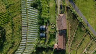 Jawa Dwipa Villa - 8