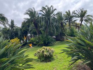 The Lookout Guesthouse - 4