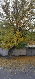 Комфорт и уют во всех смыслах - 7