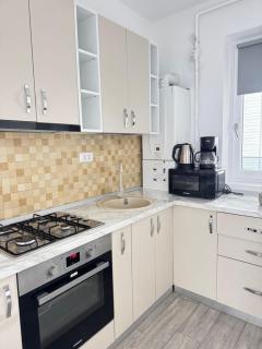 Premium Palas Mall Apartments - City Center iasi - 7