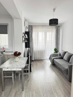 Premium Palas Mall Apartments - City Center iasi - 8