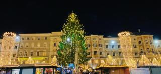 LINZ CITY CENTER - Historisches Apartment & Refugium - 9