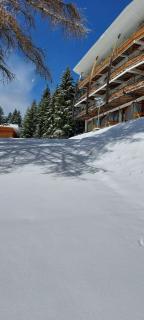 V du Bachat Arolles A03 - Appt 4 pers - 5