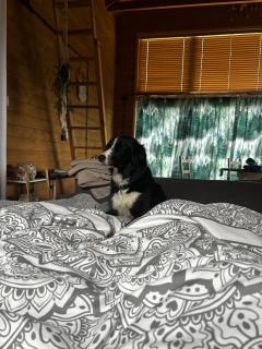 Dream Catcher House - dom do wynajęcia w górach - 9